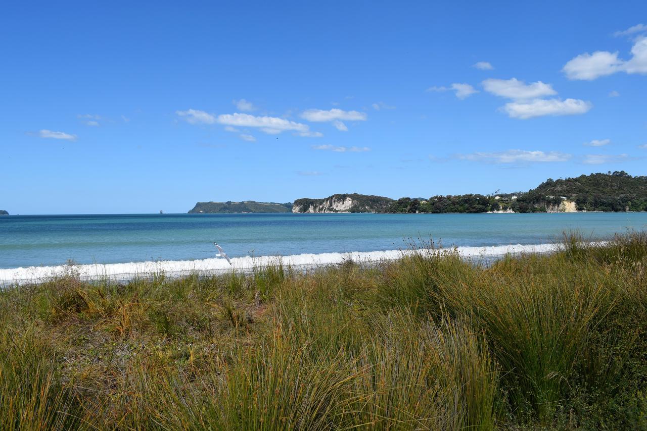 Paradise In Whitianga B&B Wells Place Εξωτερικό φωτογραφία